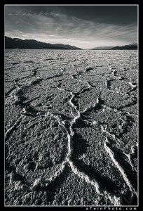 Polygons in salt at Badwater, Death Valley