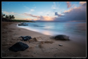 Endangered Hawaiin Green Sea Turtle at Ho'okipa beach on Maui during sunrise.