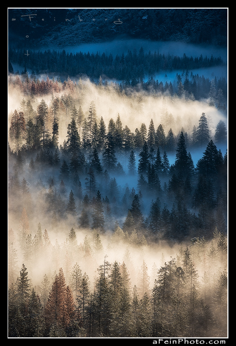 Fog hugs the tree tops in Yosemite Valley as seen from Tunnel View