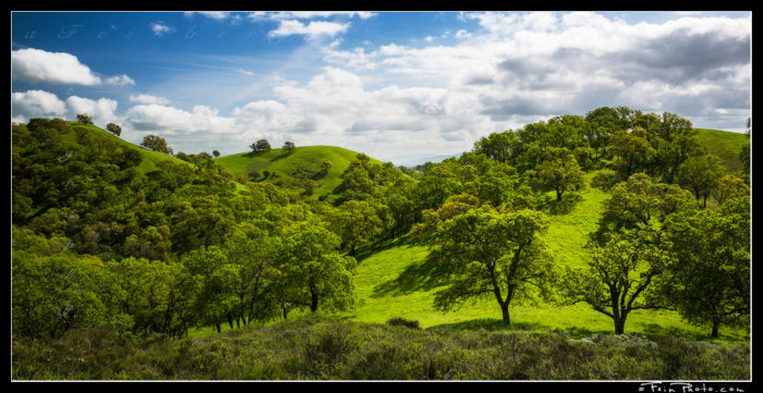"Not So Devilish" Having spent a lot of time in California over the last 4 years it was such a welcome (I'm sure for lots of people!) change to see things so green this year. This is an afternoon shot taken on Mt. Diablo, east of San Francisco. The greens, shadows and clouds were just too much fun to pass by! Thanks! aF