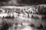 Morning MIsts