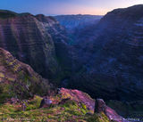 Canyon Royale