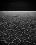 Synapses