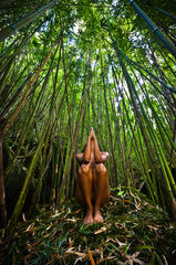 fine art landscape nude in the bamboo jungle Makaleha, Kauai, Hawaii