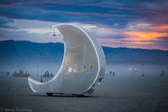Aaron Feinberg, black rock city, burning man 2016, feinberg