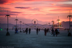Aaron Feinberg, black rock city, burning man 2016, feinberg