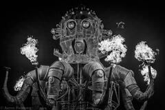 Aaron Feinberg, black rock city, burning man 2016, feinberg