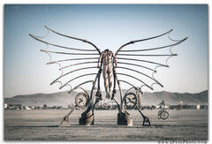Aaron Feinberg, black rock city, brc, burning man, burning man 2018, feinberg, festival, in dust we trust, irobot, playa