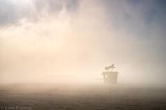 Aaron Feinberg, black rock city, brc, burning man 2022, playa, waking dreams