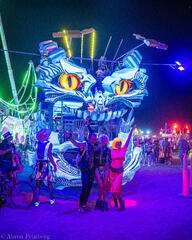 Aaron Feinberg, black rock city, brc, burning man 2022, playa, waking dreams