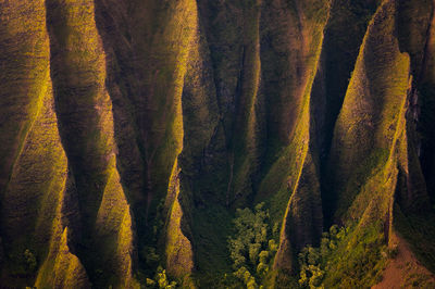 Waimea Canyon Kalalau Overlook Kalepa Ridge cathedral spires