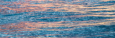 Liquid Light