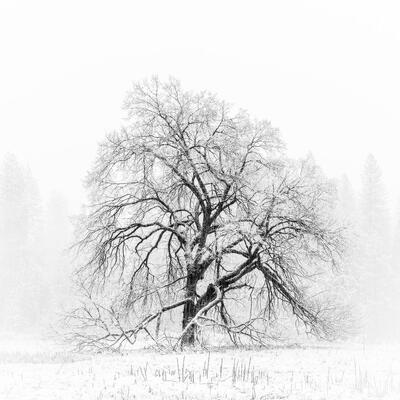 Pencil To Paper