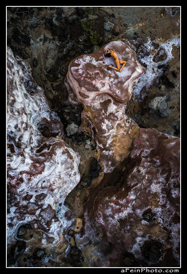 Castamere at West Maui Hawaii captured in fine art nude landscape photography by Aaron Feinberg