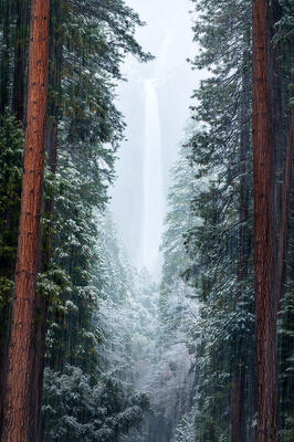 A serene winter forest scene where a distant yosemite falls glows softly through falling snow and mist, framed dramatically by redwoods, Yosemite National Park.
