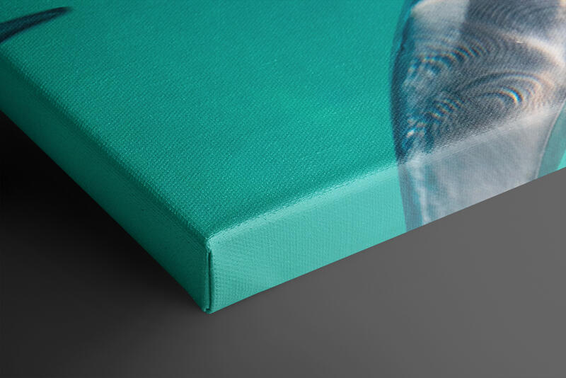 print preview