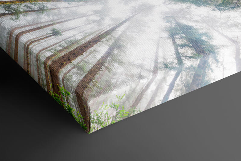 print preview