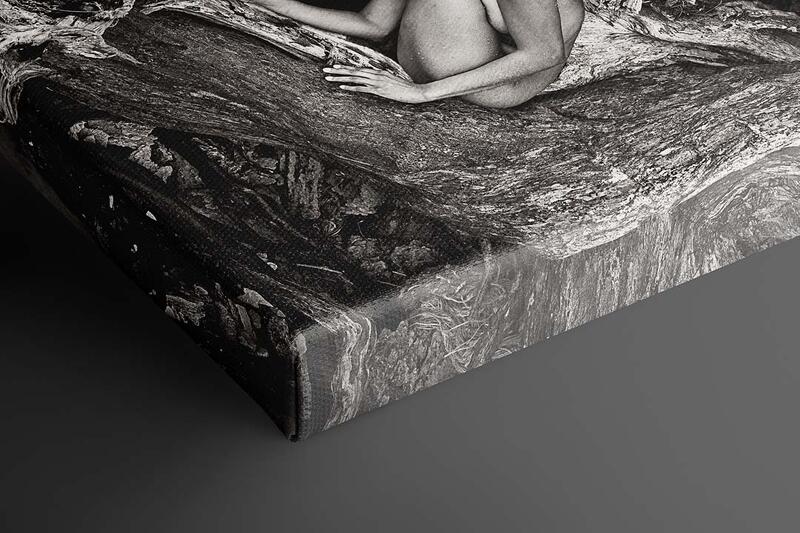 print preview