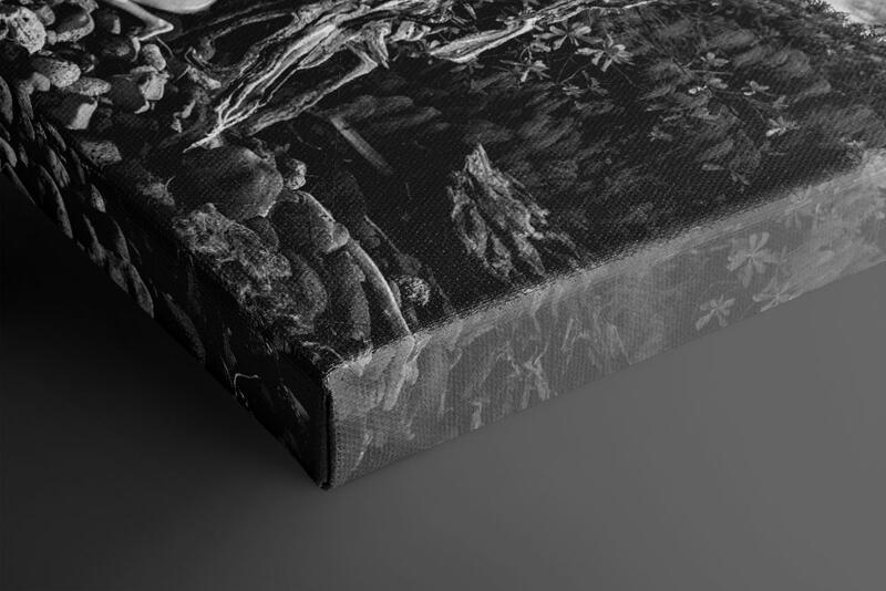 print preview
