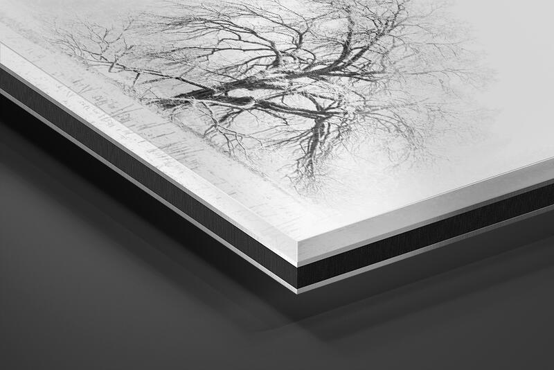 print preview