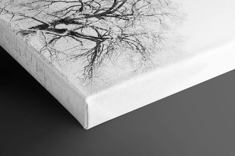 print preview