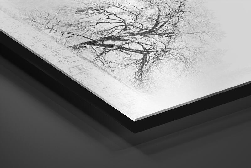 print preview