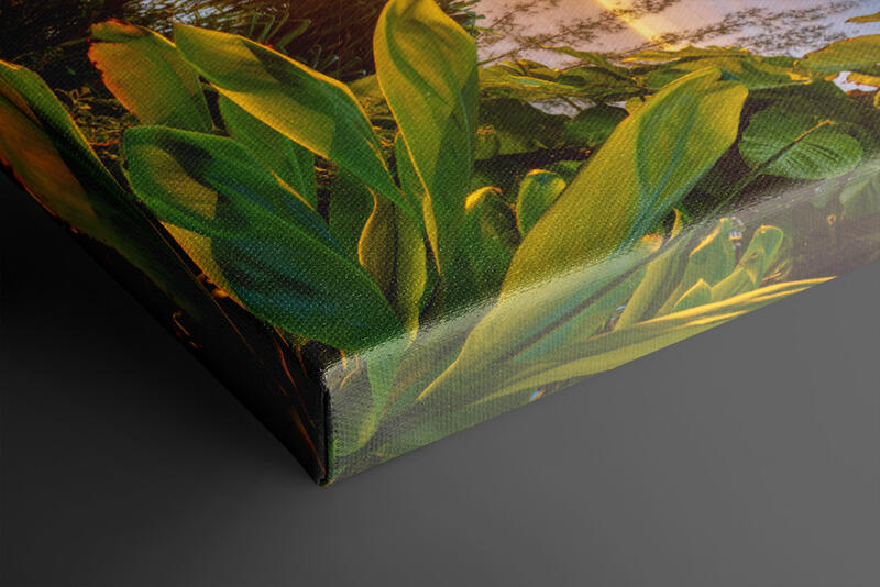  print preview