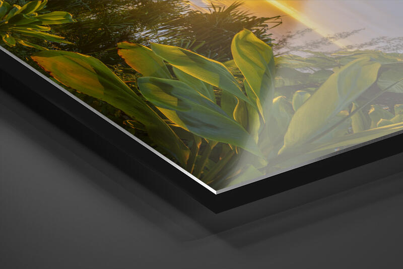  print preview