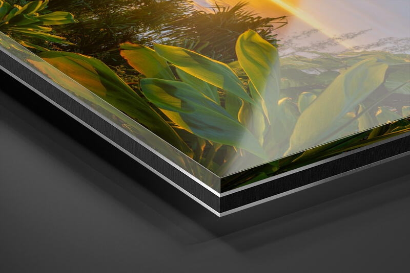  print preview