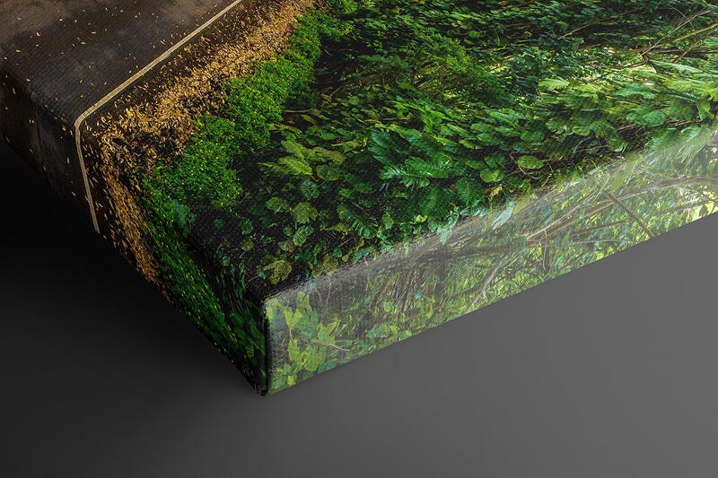 print preview