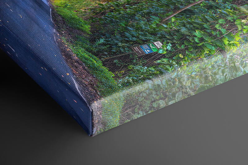 print preview