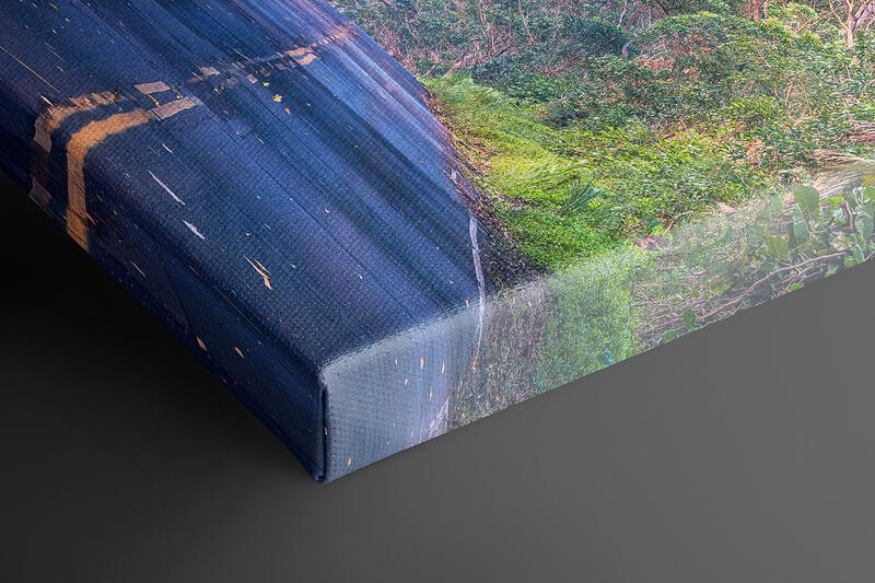  print preview