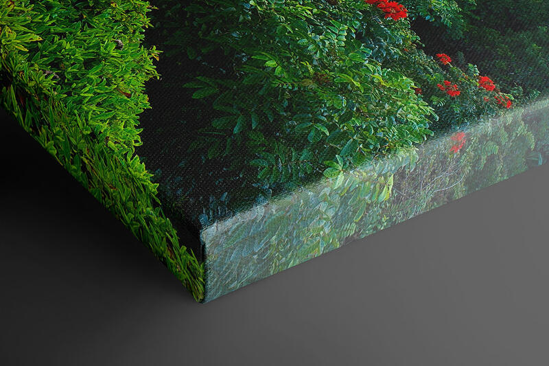  print preview