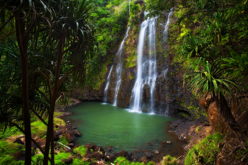 Lush tropical jungle waterfalls over emerald pool at Opaeka'a Falls, Kauai, Hawaii 
