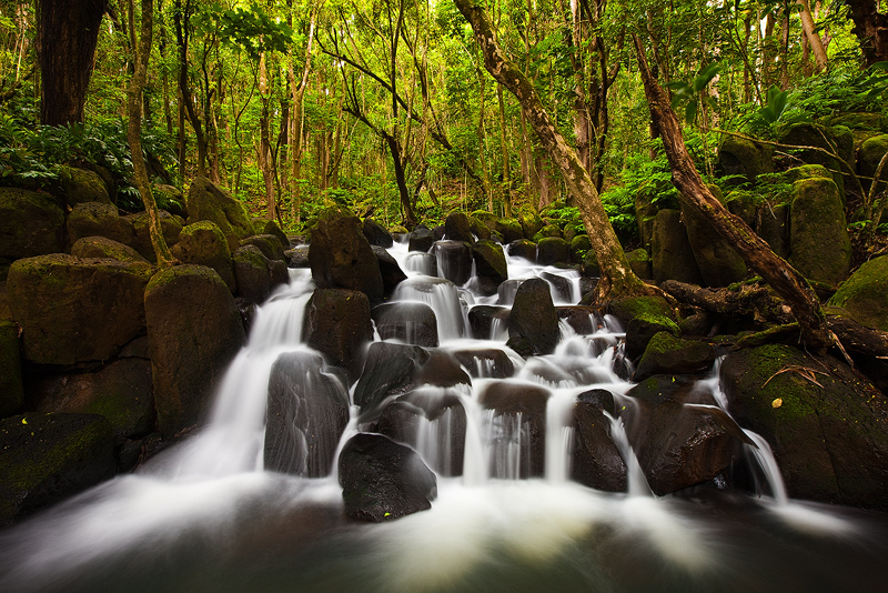 Lush tropical jungle waterfalls cascades across rocks in Wailua, Kauai, Hawaii
