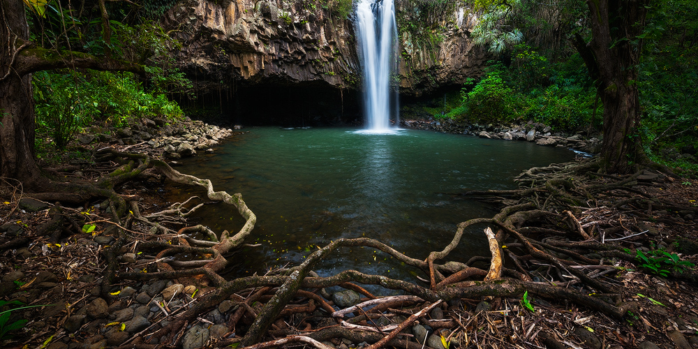 Lush tropical jungle waterfalls over emerald pool in Haiku, Maui, Hawaii
