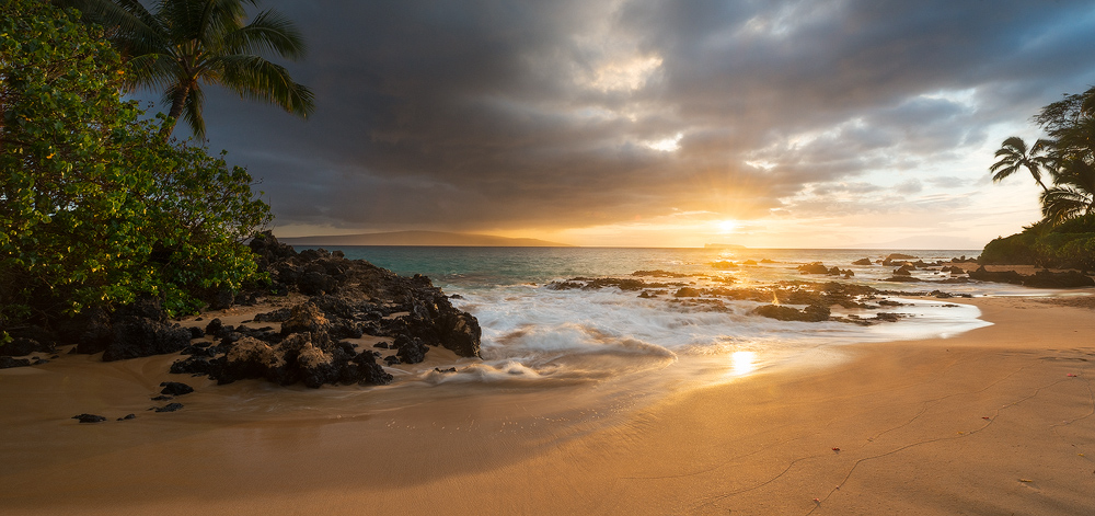 lush tropical jungle with ocean views at sunset Makena, Maui, Hawaii