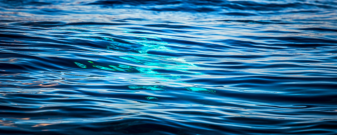 Natural abstract colors of whales underwater Maui, Hawai'i
