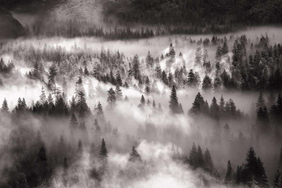 Morning MIsts As luck would have it I had another trip to California coincide with a spring storm in 2016. Arriving early to the...